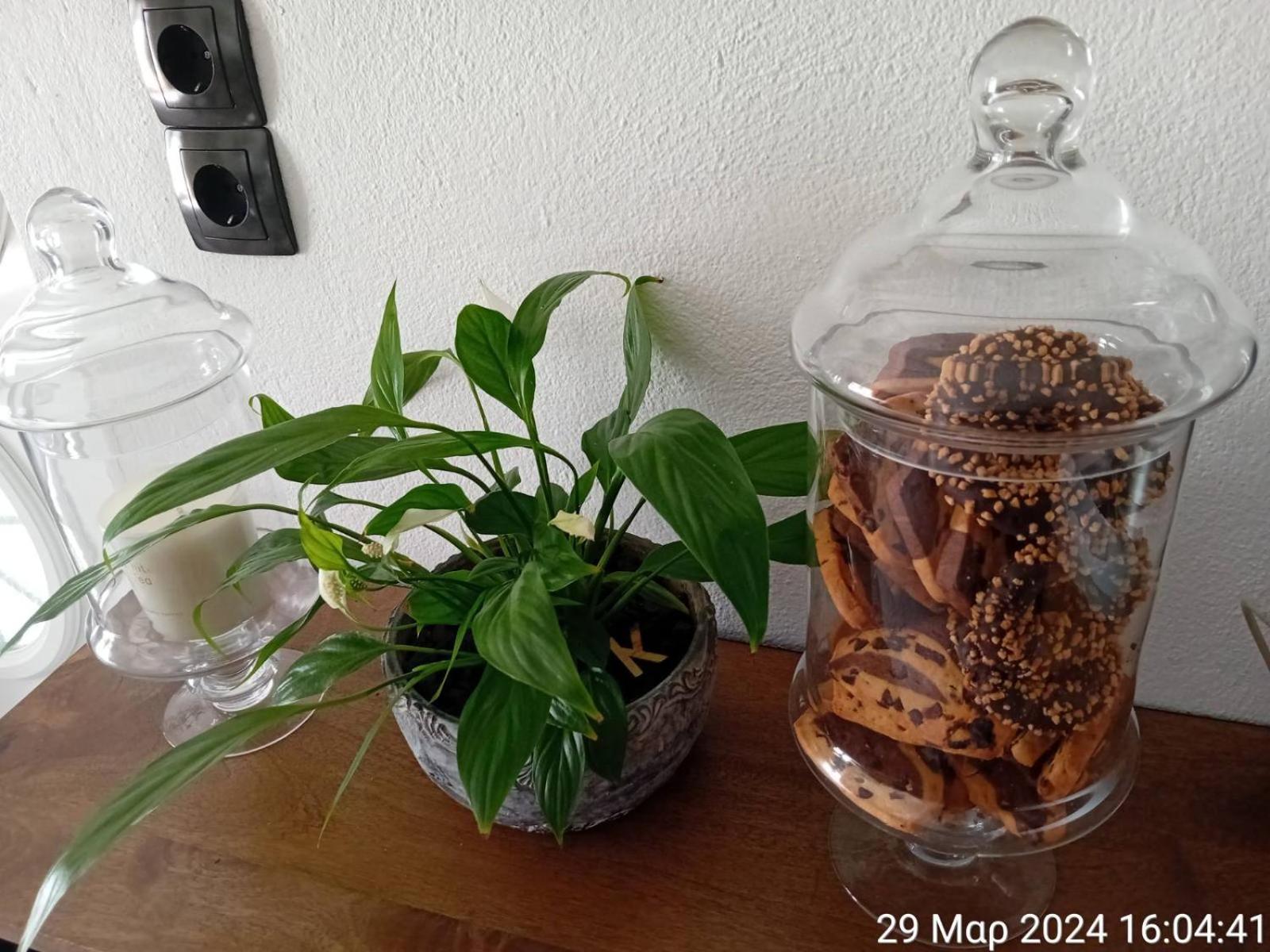 Apartment Happy Days Agia Galini (Crete)
